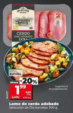 Dia Seleccion de dia - lomo de cerdo adobado oferta