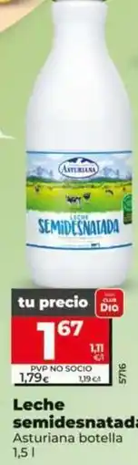 Dia Asturiana - leche semidesnatada oferta