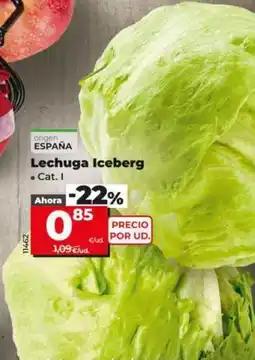 Dia Lechuga iceberg oferta