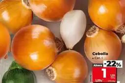 Dia Cebolla oferta