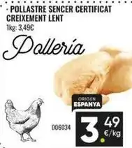 Family Cash Origen - pollastre sencer certificat creixement lent oferta
