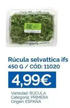 Dialsur Cash & Carry Origen - rúcula selvatrica oferta