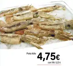 Cash Ifa Pota kilo oferta