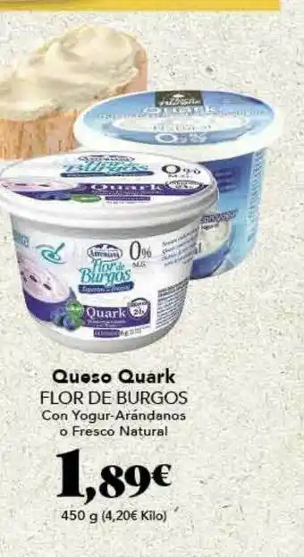 Gadis Queso Quark Flor De Burgos oferta