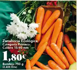 Gadis Zanahoria Ecológica oferta