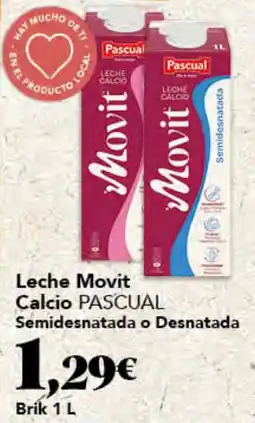 Gadis Movit Calcio Pascual oferta