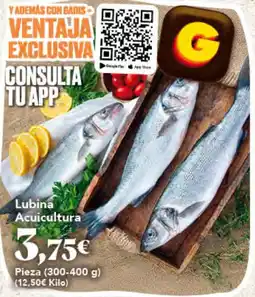 Gadis Gadis lubina acuicultura oferta