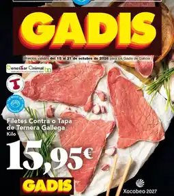 Gadis Gallega - filetes contra o tapa de ternera oferta