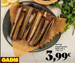 Gadis Navaja importación malla oferta
