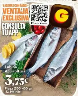 Gadis Lubina acuicultura oferta