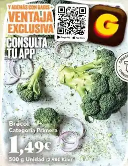 Gadis Brecol categoria primera oferta