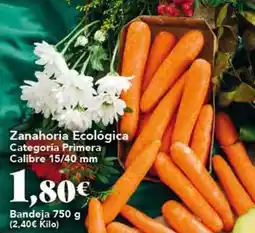Gadis Zanahoria ecologica oferta