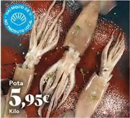 Gadis Pota oferta