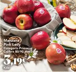 Gadis Pink lady - manzana categoria primera calibre oferta
