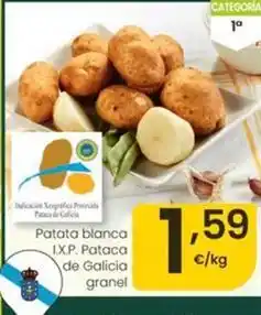 Patata blanca i.x.p. pataca de galicia