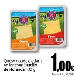 UDACO Castillo de Holanda queso gouda o edam en lonchas oferta