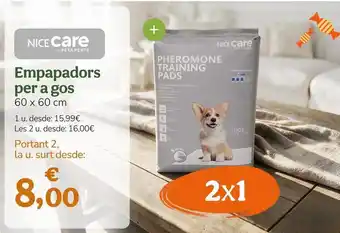Care - empapadors per a gos
