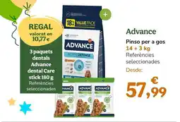 TiendAnimal Regal - advance oferta