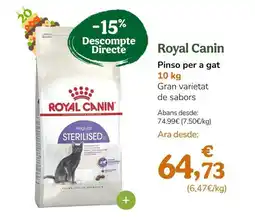 TiendAnimal Royal canin - pinso per a gat oferta