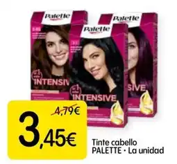 Dialprix Palette tinte cabello oferta