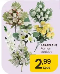 Eroski Zaraplast ramos surtidos oferta