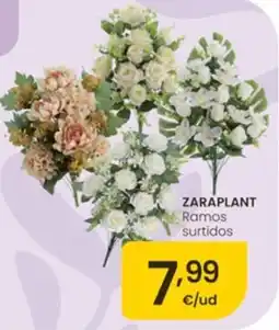 Eroski Zaraplast ramos surtidos oferta