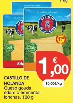 CashDiplo Castillo de holanda queso gouda, edam o emmental lonchas oferta