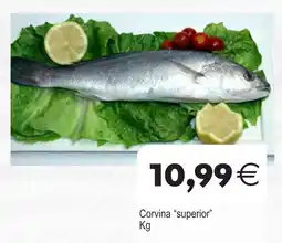 Plenus Supermercados Corvina superior oferta