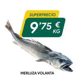 Merluza volanta