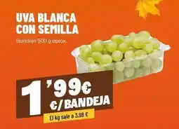 AhorraMas Uva blanca con semilla oferta