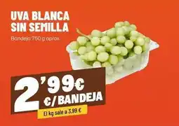 AhorraMas Uva blanca sin semilla oferta