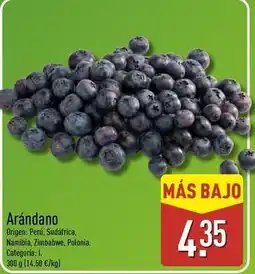ALDI Origen - arándano oferta