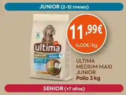 FROIZ ultima medium maxi junior oferta