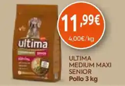 FROIZ ultima medium maxi senior oferta