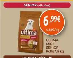 FROIZ ultima mini senior oferta