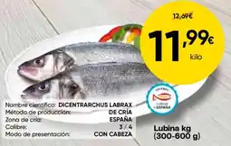 FROIZ Lubina oferta
