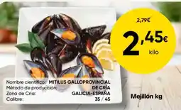 FROIZ Mejillón kg oferta