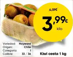 FROIZ Kiwi cesta oferta