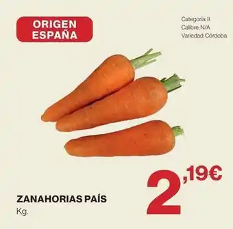 Origen - zanahorias país