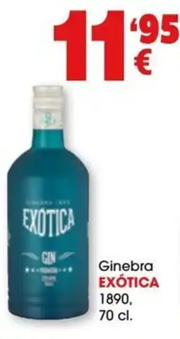 TOP Cash & Carry Exótica gin oferta