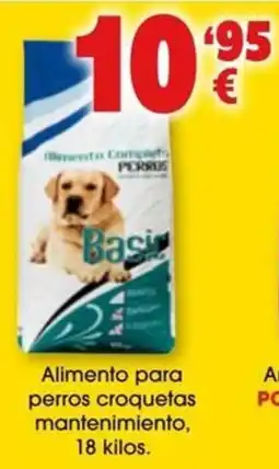 TOP Cash & Carry Basic Alimento para perros croquetas mantenimiento oferta