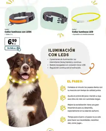 Lidl Zoofari Collar luminoso con LEDS/ Colalr luminoso LED oferta