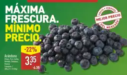 ALDI Arándano oferta