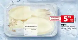 Dia Sípia oferta
