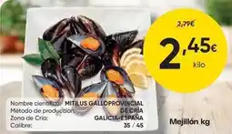 FROIZ Mejillón oferta