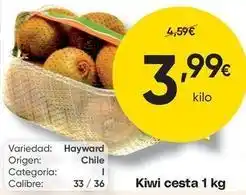 FROIZ Origen - kiwi cesta oferta