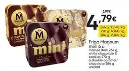 FROIZ Magnum - frigo mini 6 u oferta