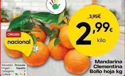 FROIZ Origen - mandarina clementina oferta