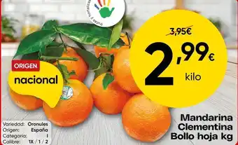 Origen - mandarina clementina