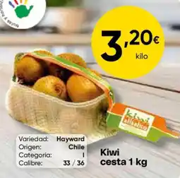 FROIZ Kiwi oferta